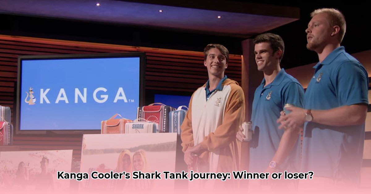 kanga-cooler-net-worth